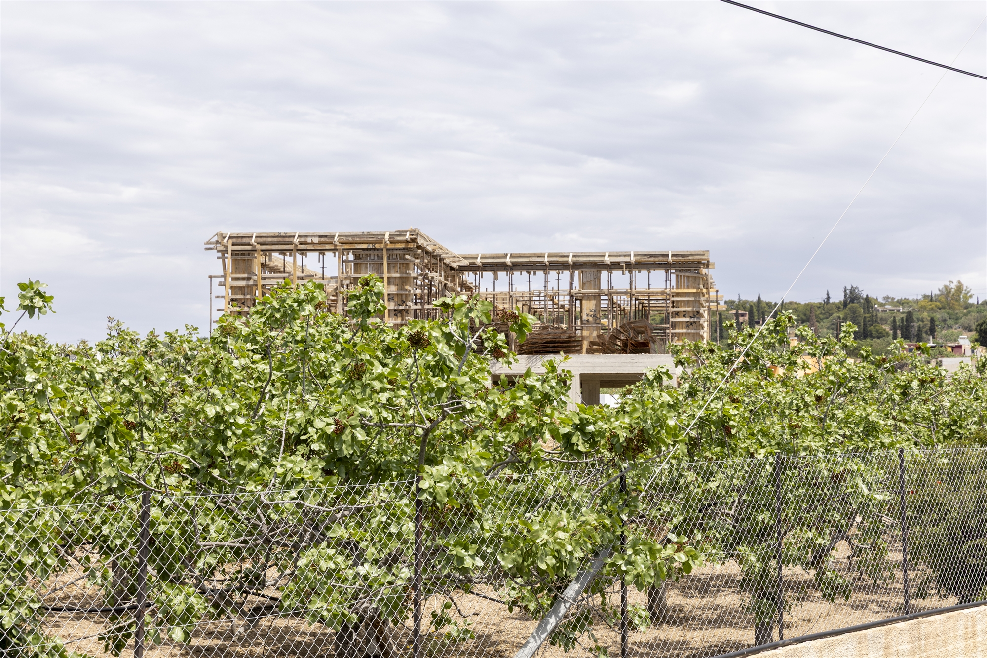 Θα σώσει το Ντουμπάι τις φιστικιές;-4