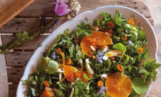 αγροτική-σαλάτα-με-άγρια-χόρτα-φινόκι-563607310