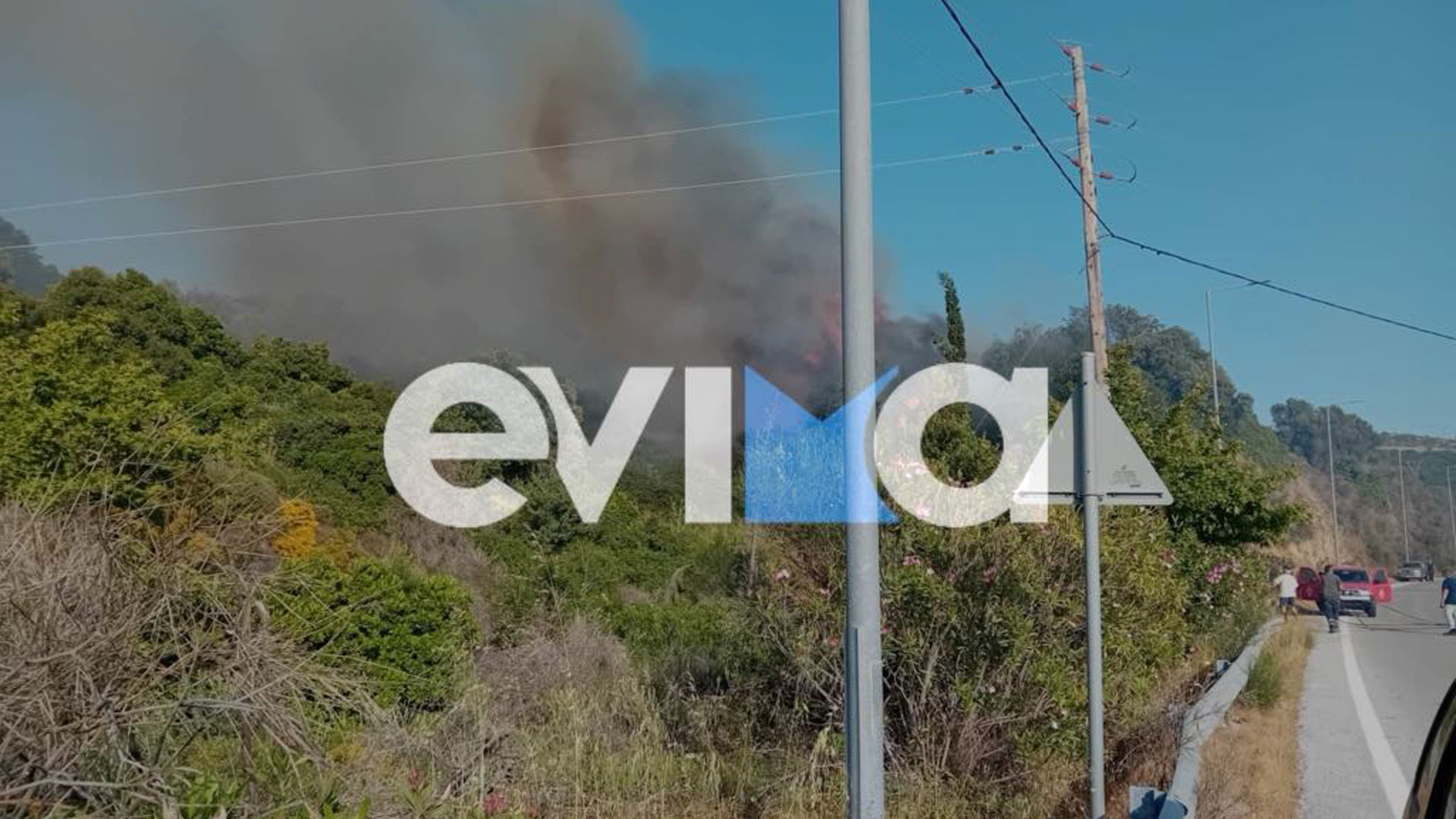 Εύβοια: Φωτιά σε δασική έκταση στην περιοχή Αλμυροπόταμος-2