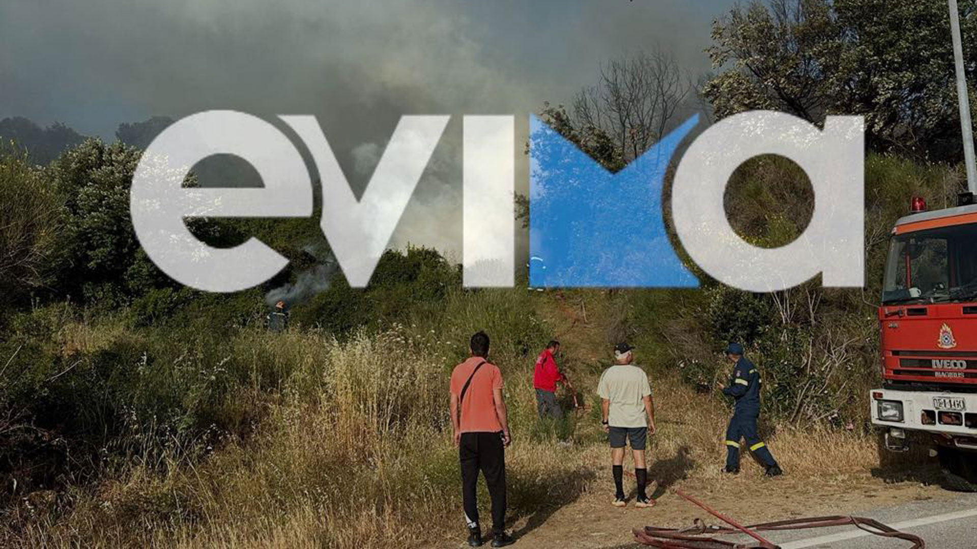 Εύβοια: Φωτιά σε δασική έκταση στην περιοχή Αλμυροπόταμος-3