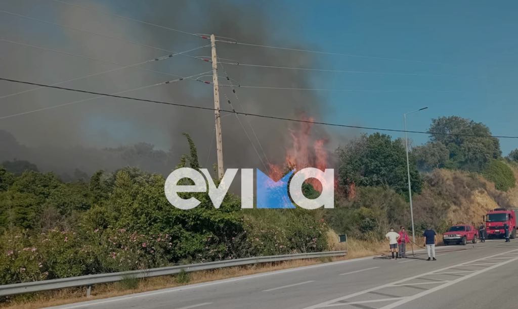 Εύβοια: Φωτιά σε δασική έκταση στην περιοχή Αλμυροπόταμος-1
