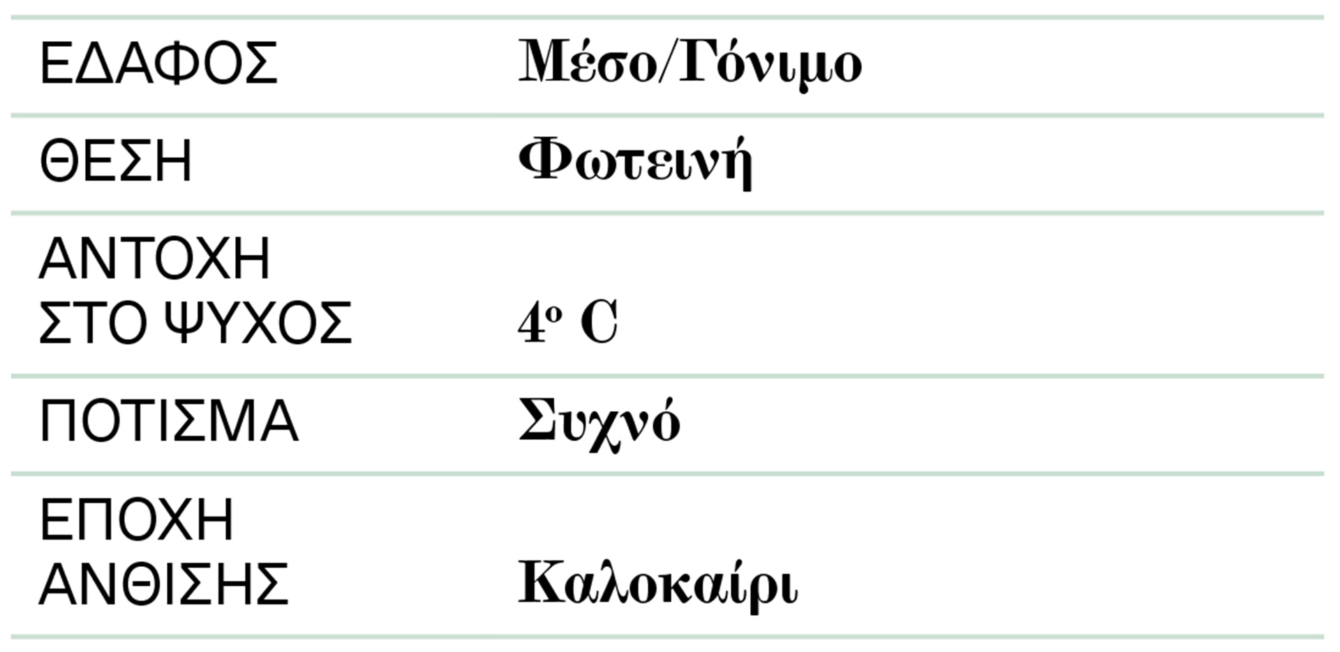 Bασιλικός: Ο καλύτερος φίλος της ντομάτας-2