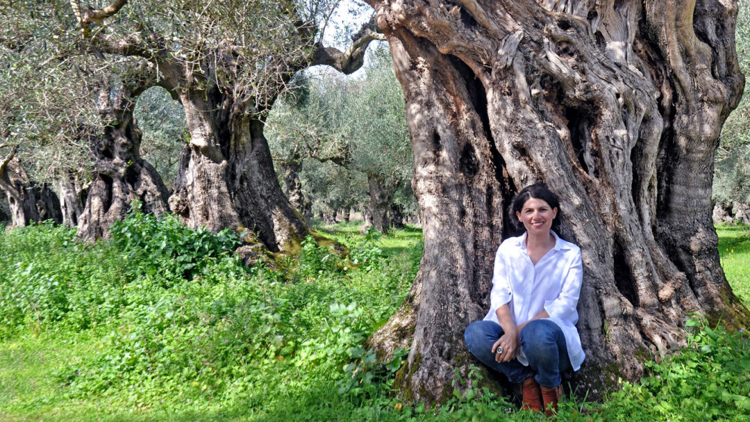 δασμοί-ηπα-οι-περιπέτειες-ελλήνων-παρ-563618392