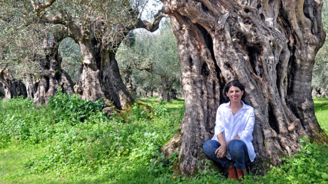 τι-σημαίνει-το-δικαστικό-μπλόκο-στο-563618392