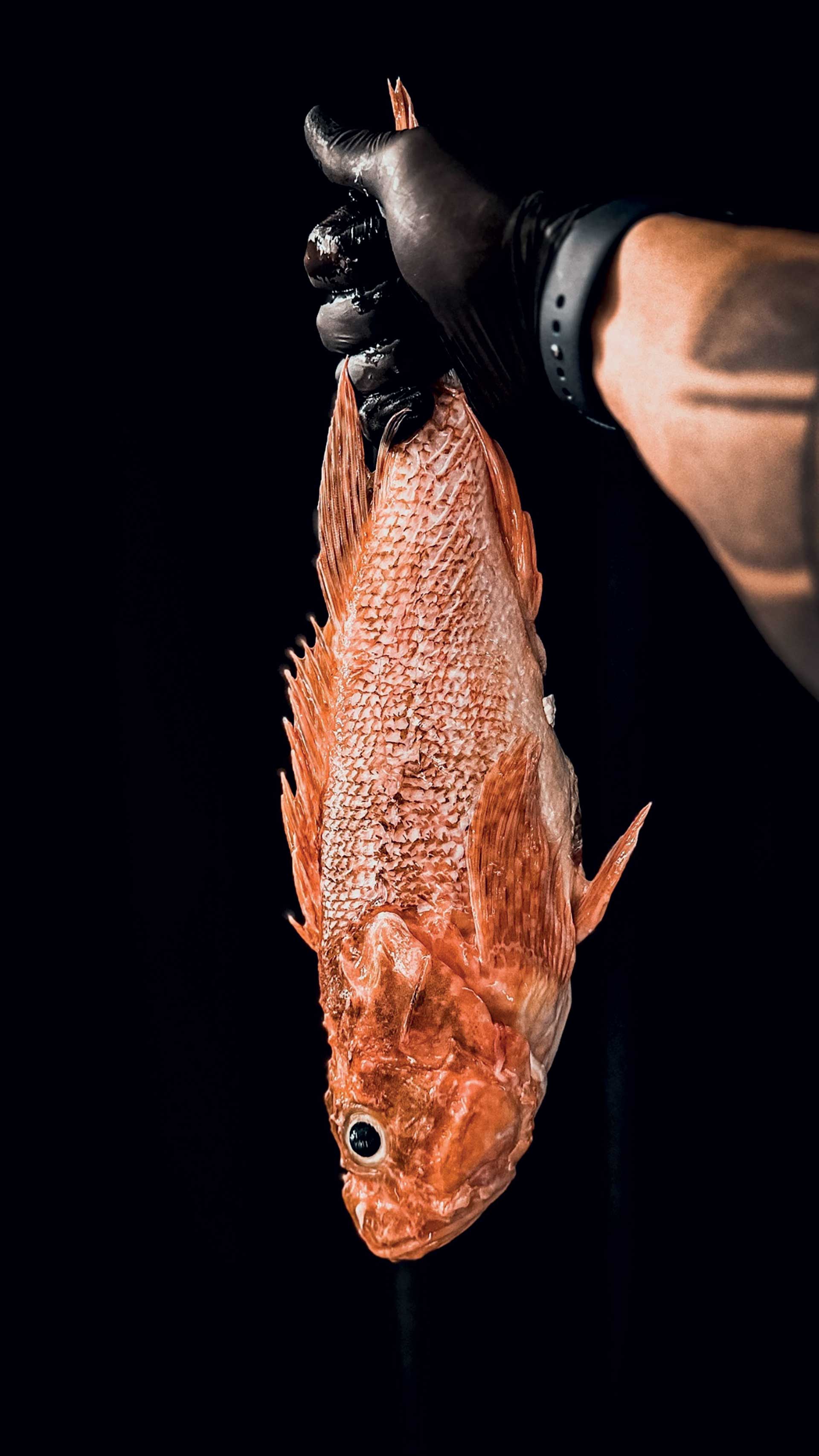 Στα Βριλήσσια, για ένα από τα πιο νόστιμα σούσι της Αθήνας-1