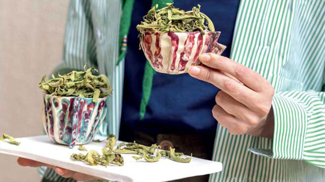 το-αρωματικό-φυτό-που-χαλαρώνει-το-μυα-563616469