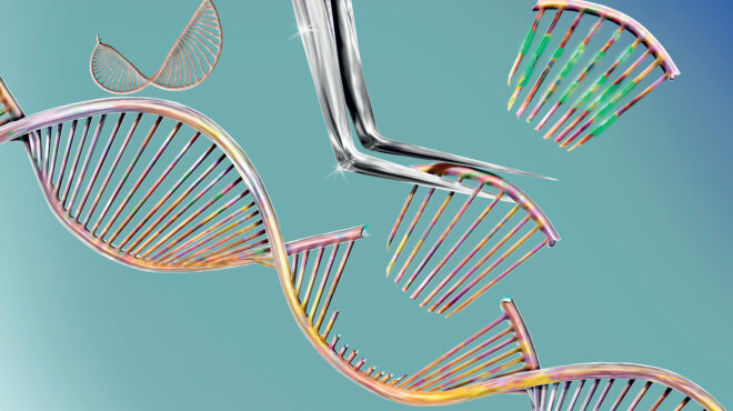 αν-μπορούσατε-να-φτιάξετε-το-παιδί-σ-563626777