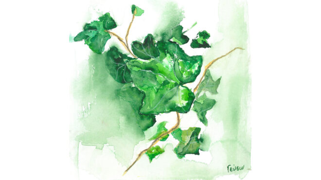 τοιχογραφίες-θραύσματα-και-ίχνη-αρχα-563643412