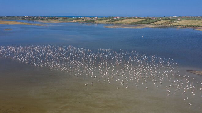 οι-περιοχές-natura-που-γιορτάζουμε-αλλά-δεν-563617597