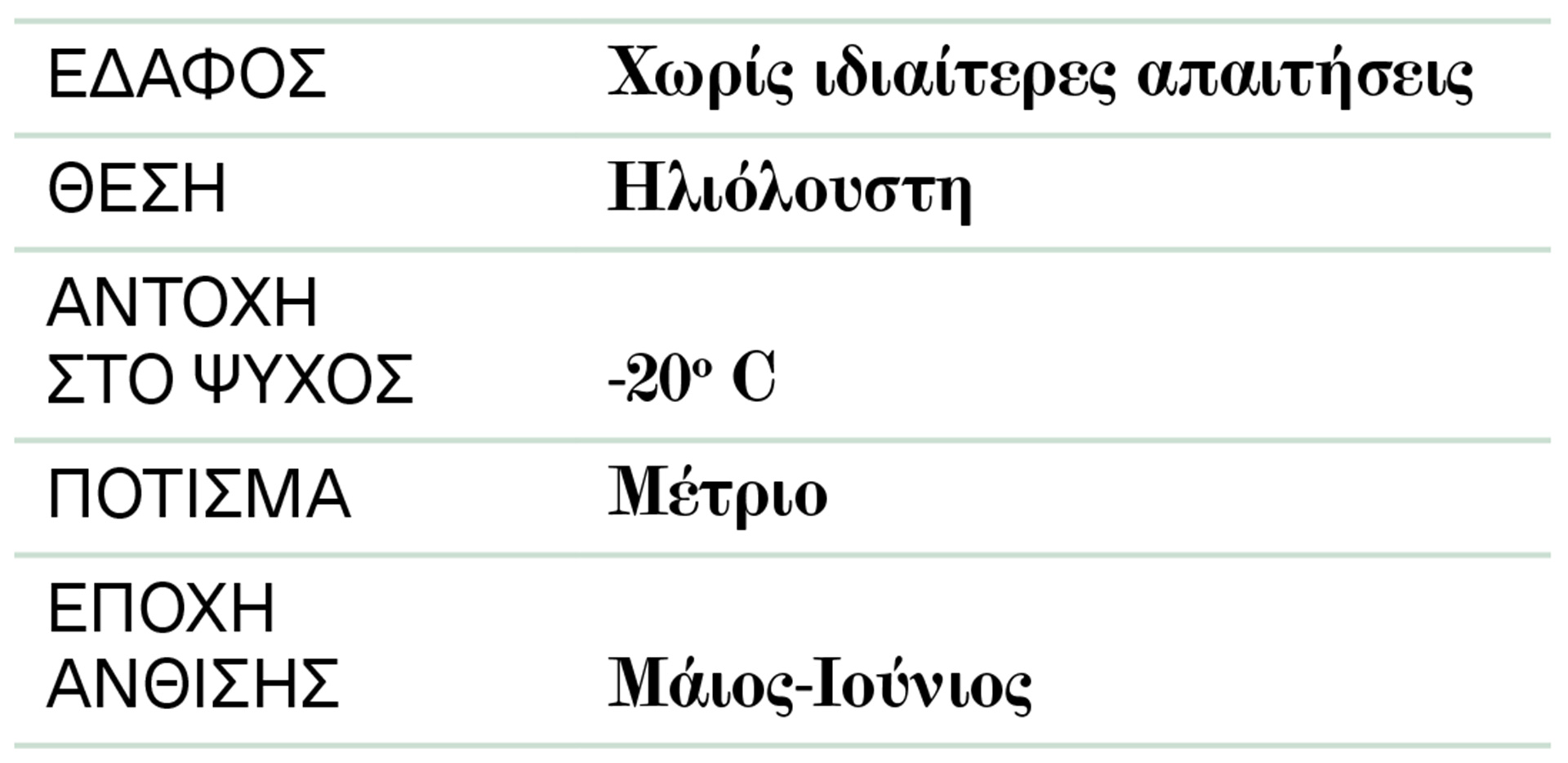 Βερβερίδα: Εγχρωμο φυσικό χώρισμα-2