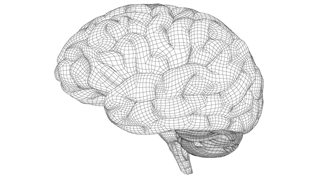 ποιοι-είναι-οι-διάφοροι-τύποι-εγκεφα-563624629