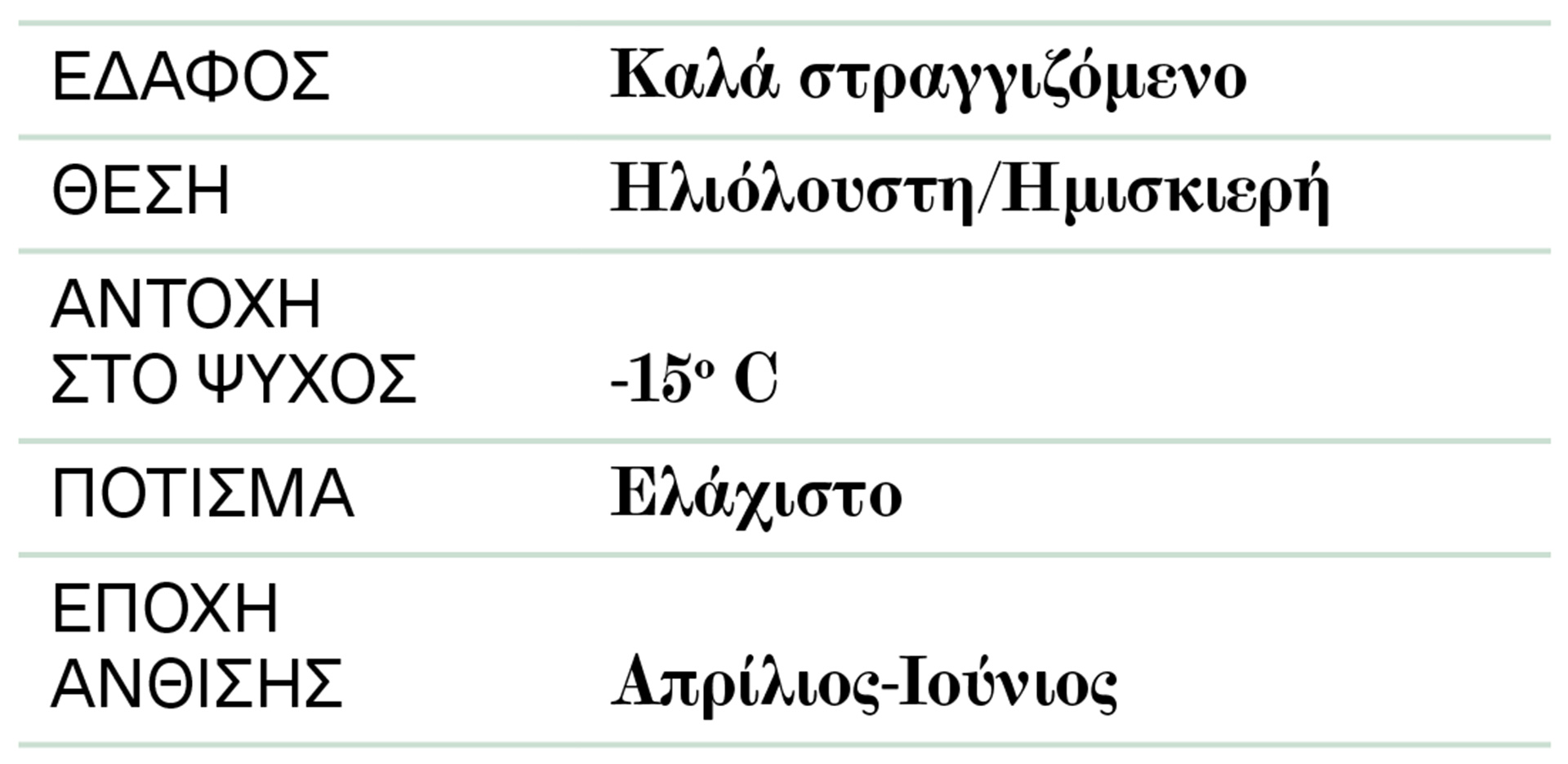 Βιβούρνο: Αρωμα… Ρωμαϊκής Αυτοκρατορίας-2