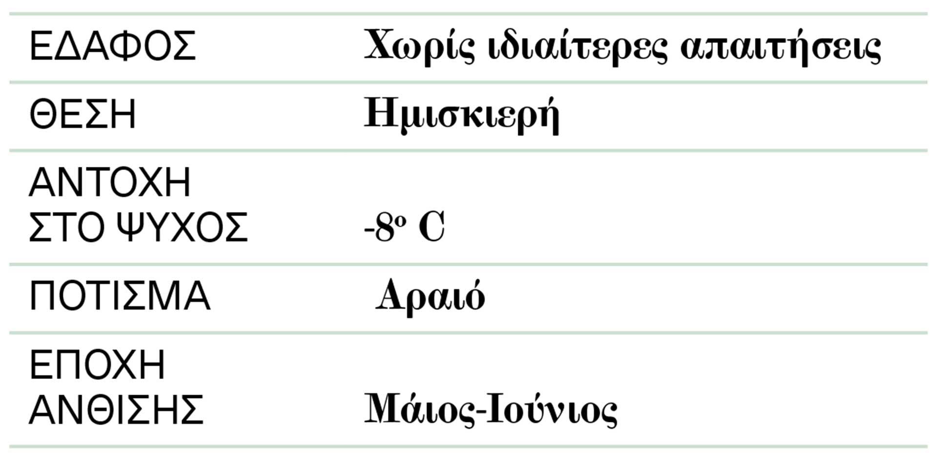 Αγγελική σε γλάστρα: Πολλά πλεονεκτήματα-2