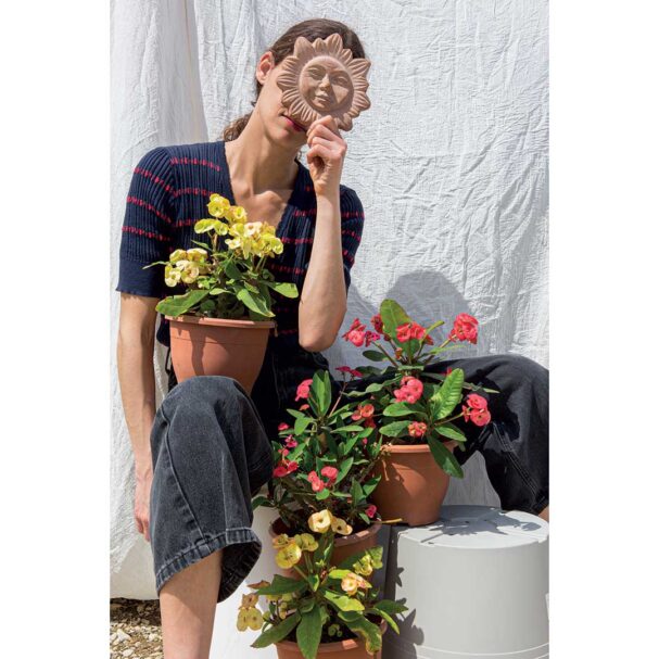 αγκάθι-του-χριστού-φυτό-καλορίζικο-563624716