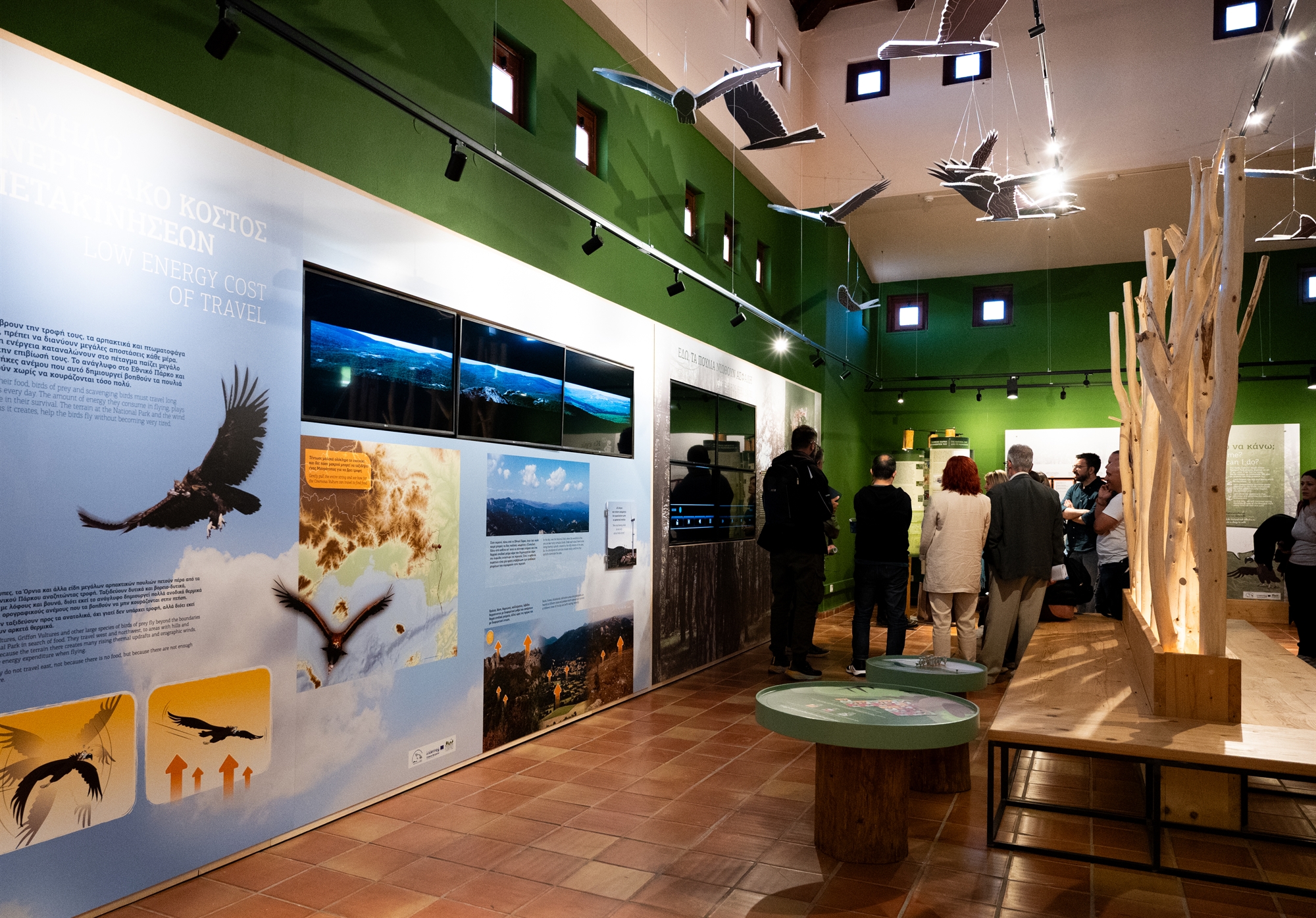 Η ελπίδα γεννιέται στη Δαδιά – Η «Κ» επισκέφθηκε την περιοχή και μίλησε με ειδικούς-3