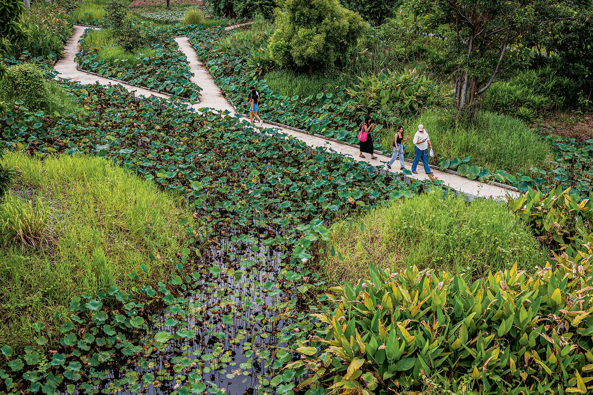 Πόση φύση αντέχουν οι πόλεις μας;-6