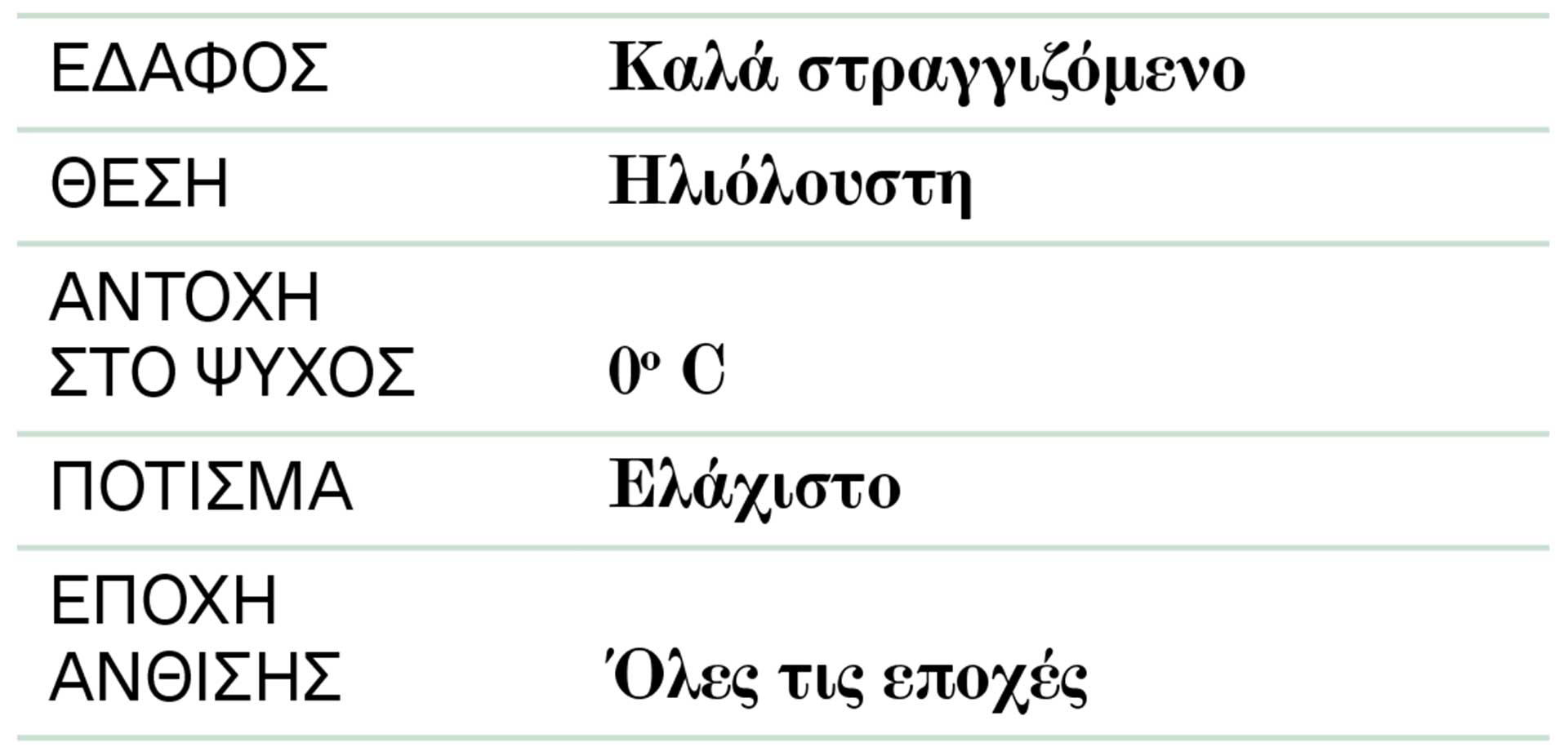 Αγκάθι του Χριστού: Φυτό καλορίζικο-2