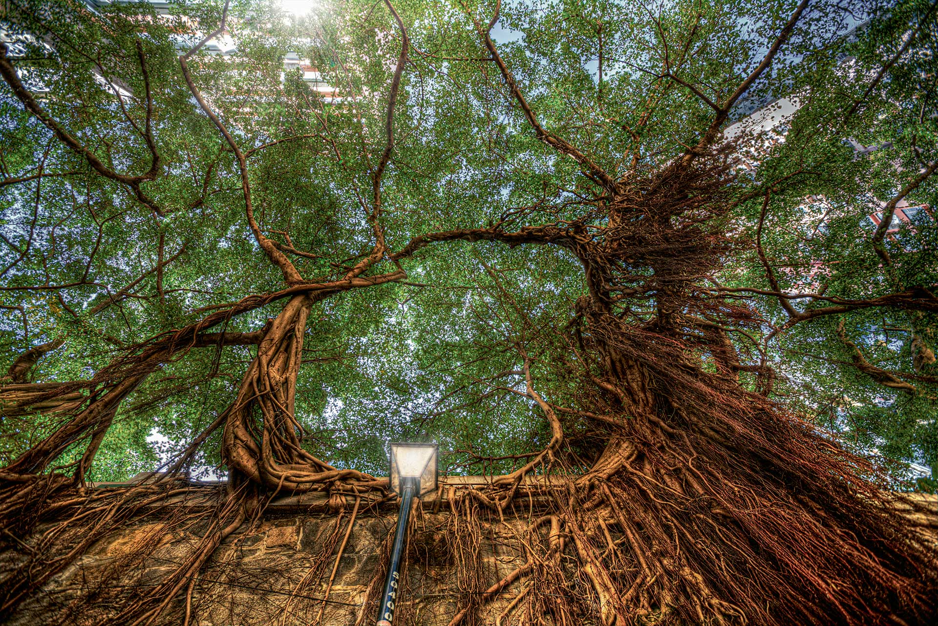 Πόση φύση αντέχουν οι πόλεις μας;-7