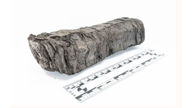 ανακάλυψη-ο-απανθρακωμένος-πάπυρος-τ-563599339