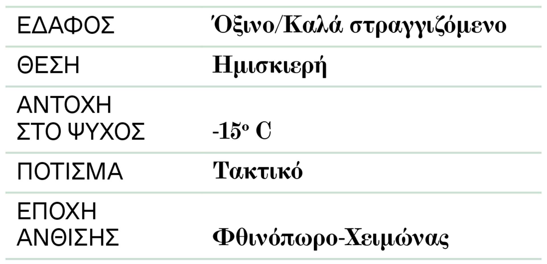 Αγριοκαμέλια (Camellia japonica): Χαλαρή και «αέρινη»-2