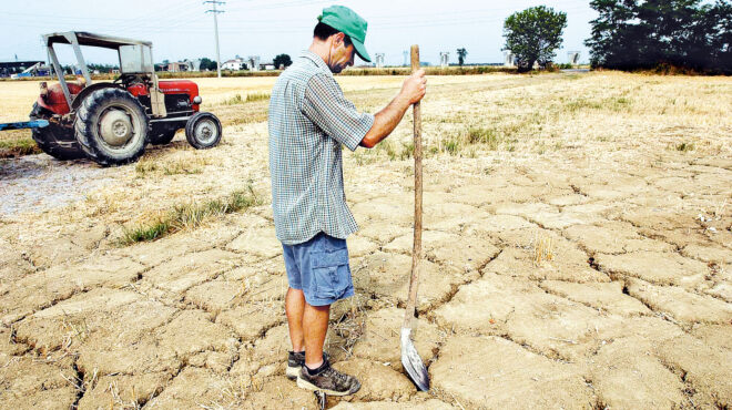 αρνό-πιουέ-ντ-αλισάκ-στην-κ-δημογρ-563643388