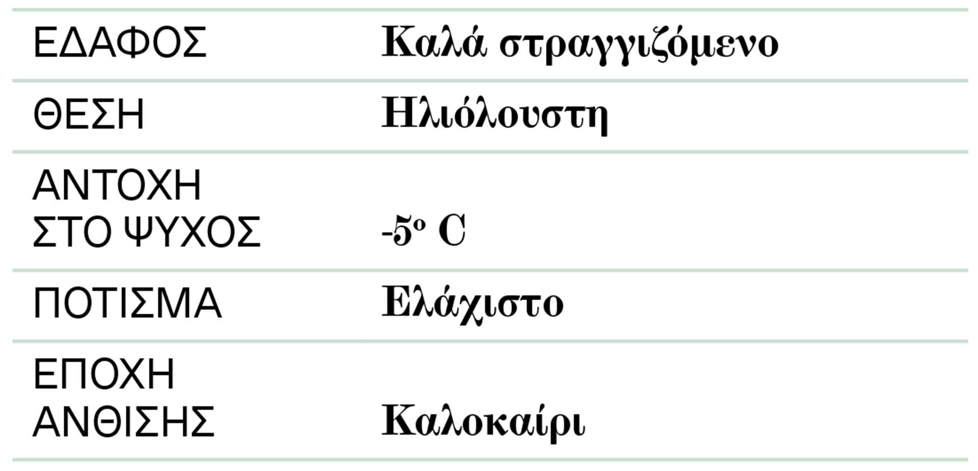 Το «Αθάνατο» παχύφυτο-2