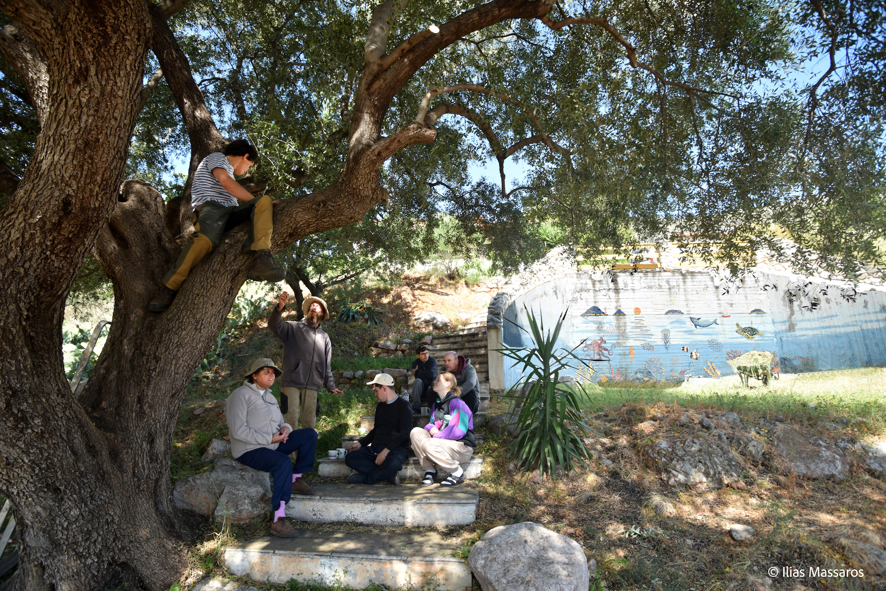 Ενα σπουδαίο συμπεριληπτικό φεστιβάλ ξεκινάει στο Γαλαξίδι αυτό το Σαββατοκύριακο-3