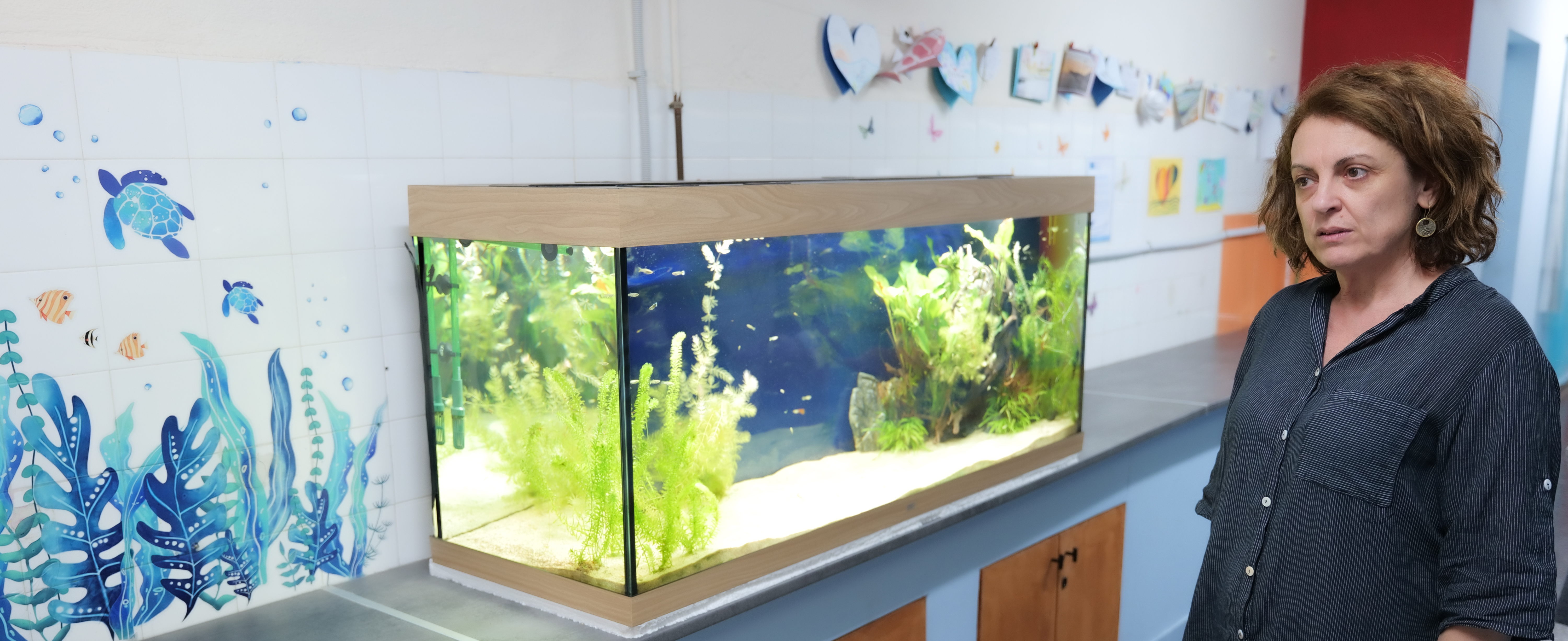 Τα σχολεία με τα περιβόλια-18