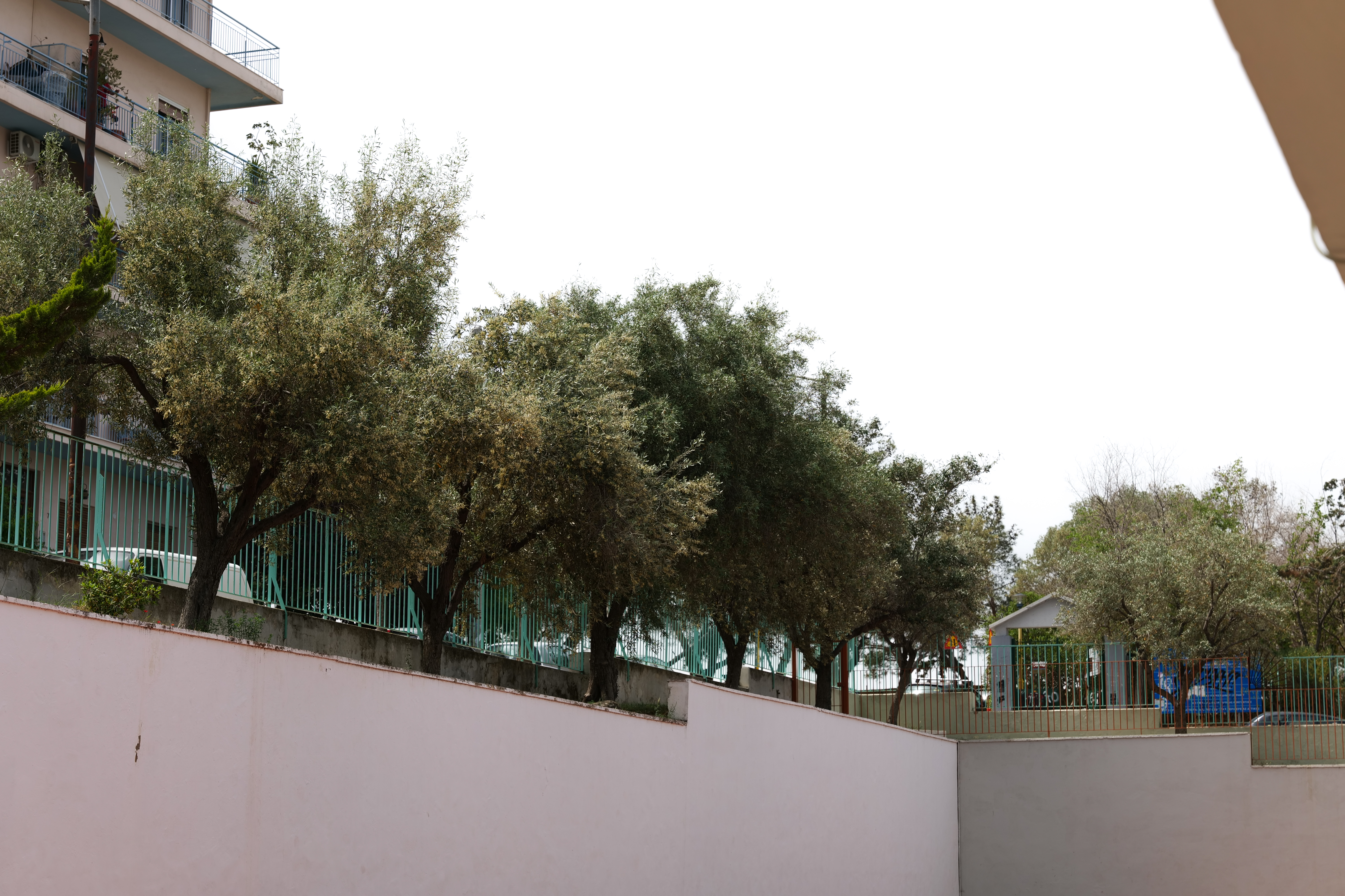 Τα σχολεία με τα περιβόλια-14