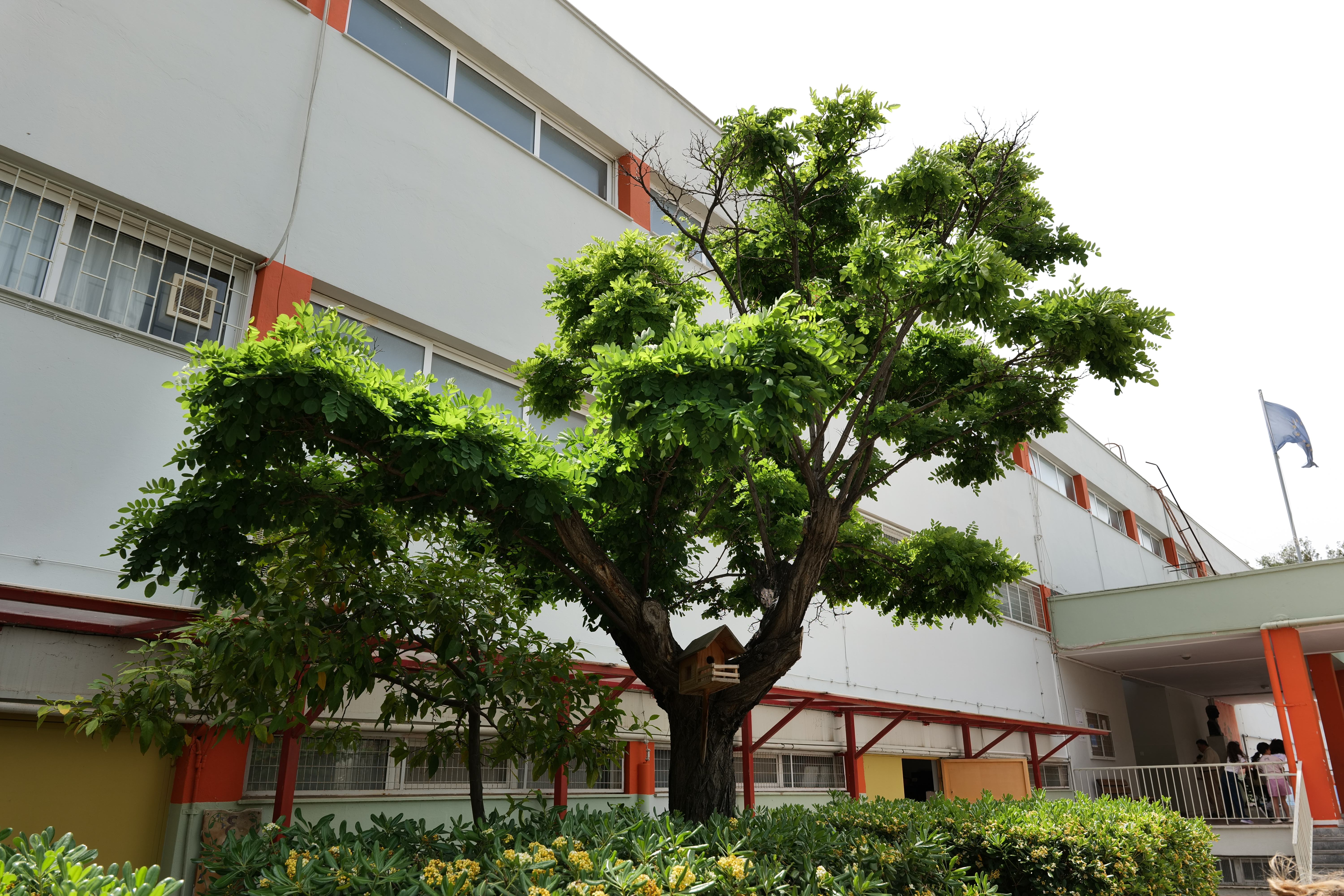 Τα σχολεία με τα περιβόλια-15