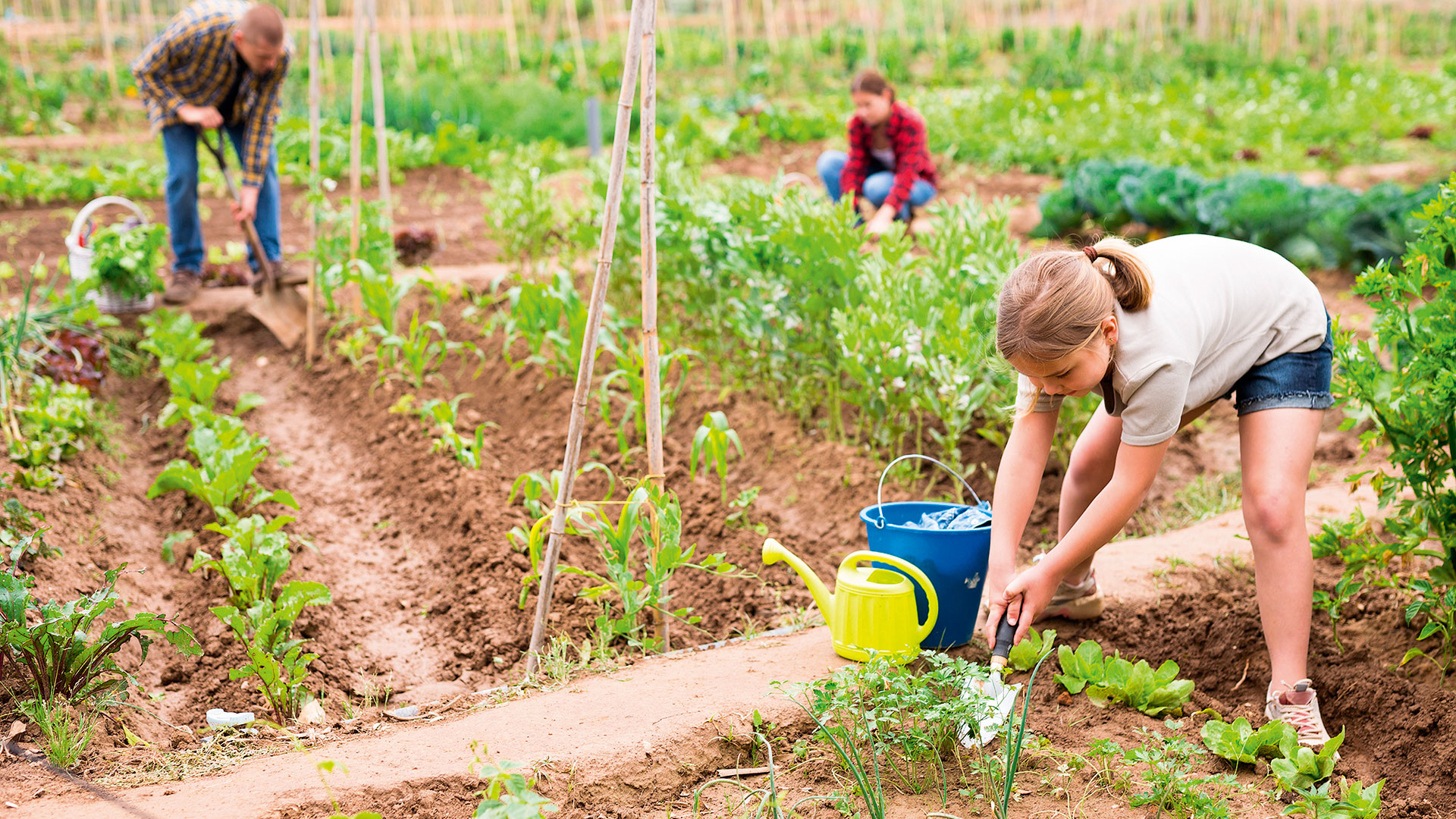 Ο παράδεισος της βιοποικιλότητας, το διακόνημα της καλλιέργειας και η μαγειρική πανδαισία-1