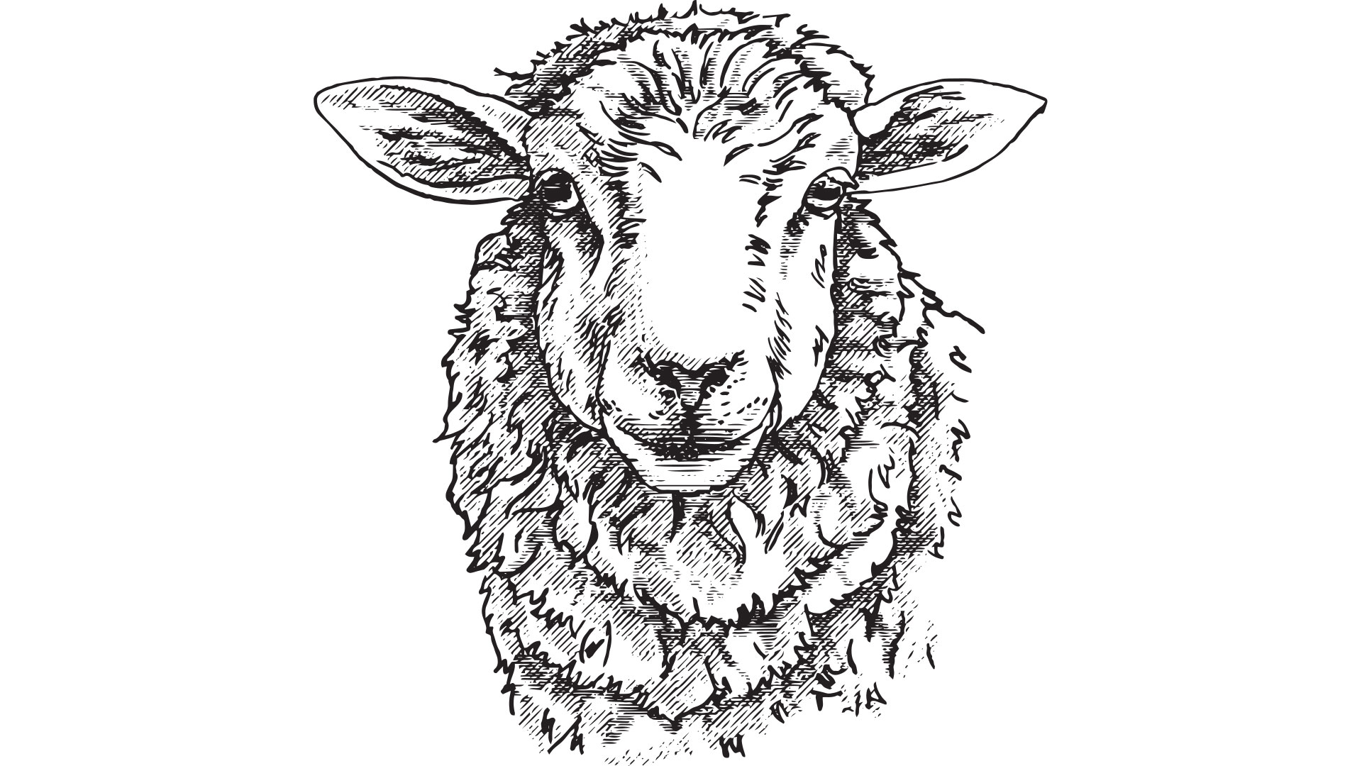 υπόθεση-οπεκεπε-δέκα-χρόνια-πατέντε-563643649