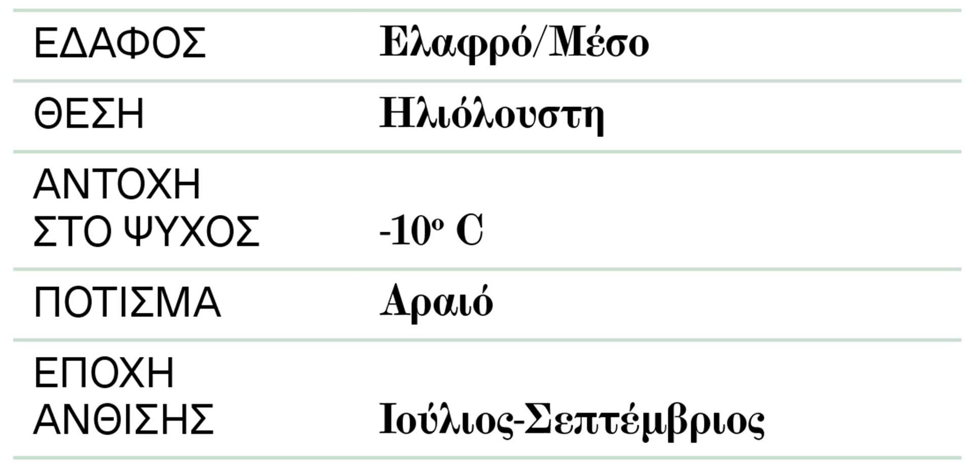 Ακακία: Δέντρο μαγικό, κρατάει μακριά την κακία των ανθρώπων-2