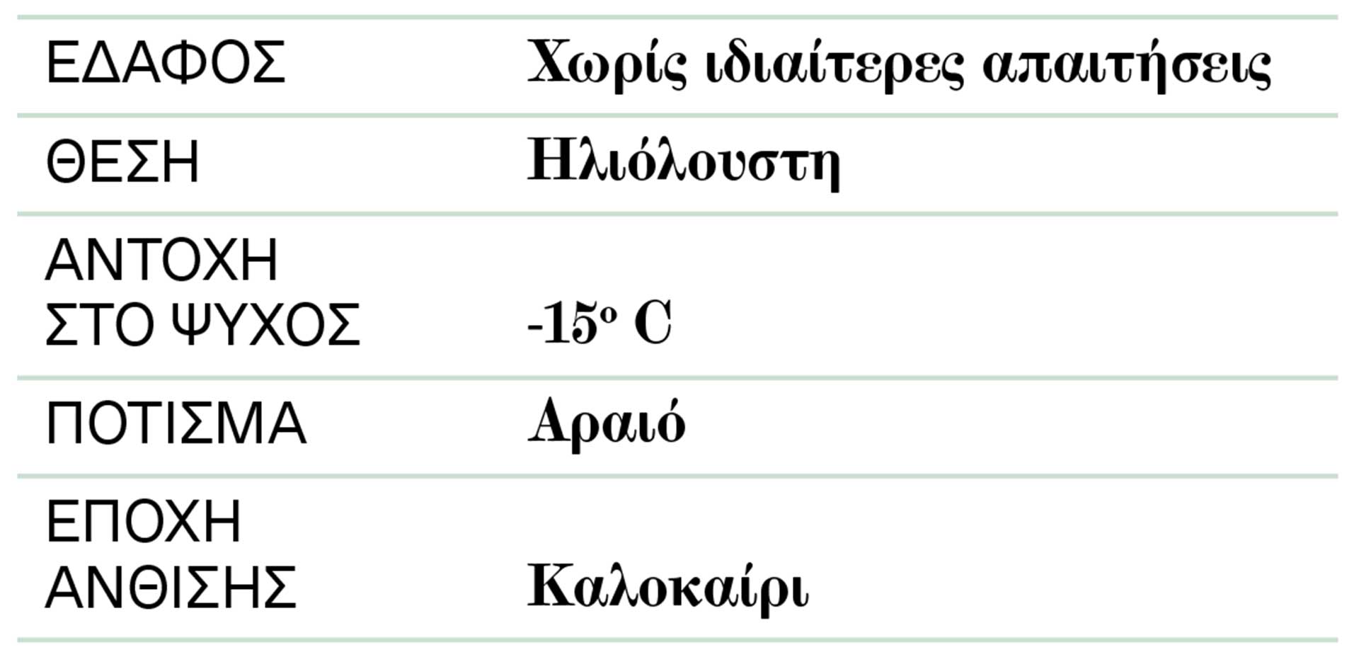 Απήγανος: Αναφροδισιακό φυτό, ξορκίζει το «κακό μάτι»-2