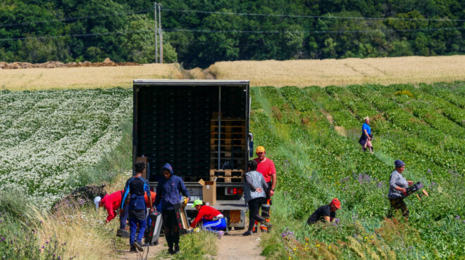 εκτ-οι-ξένοι-εργαζόμενοι-αποτελούν-β-563601262