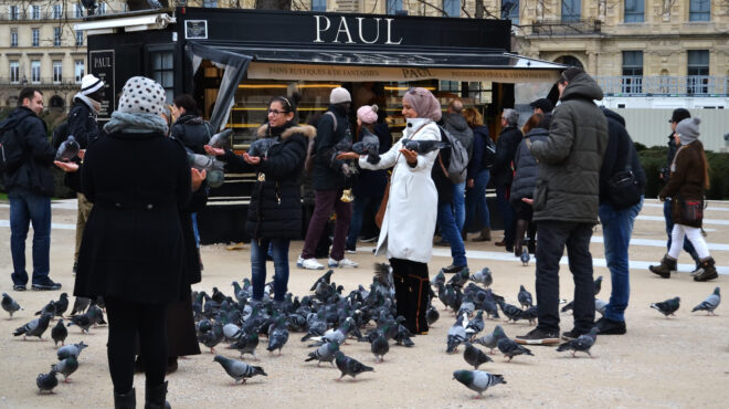 γαλλία-σχέδιο-γενικής-απαγόρευσης-τη-563625874