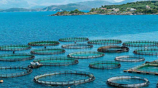 ενίσχυση-παραγωγικών-επενδύσεων-στη-563606173