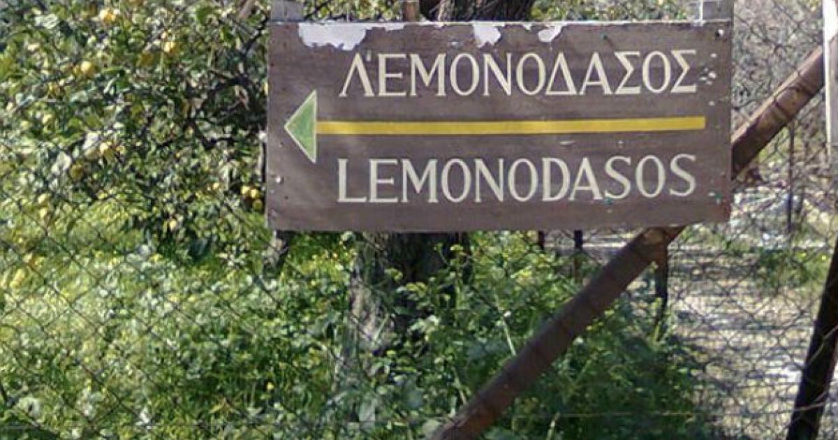 Το λεμονοδάσος του Σεφέρη και της Γκρέτα Γκάρμπο, λίγο πριν το τέλος-5