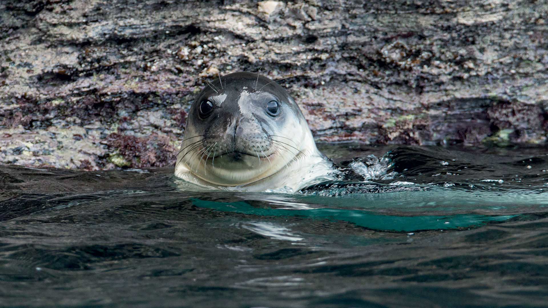 Γυάρος: Πεζοπορώντας σε έναν τόπο μνήμης και βιοποικιλότητας-9