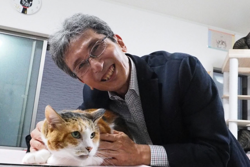 Το πάθος ενός Ιάπωνα έλυσε το μυστήριο των τζίντζερ γάτων-3