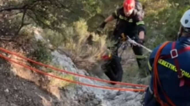 κέρκυρα-γερμανίδα-τουρίστρια-εγκλωβ-563638096