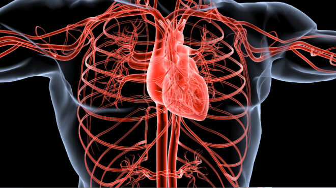 η-σύνδεση-καρκίνου-και-καρδιοπάθειας-563632267