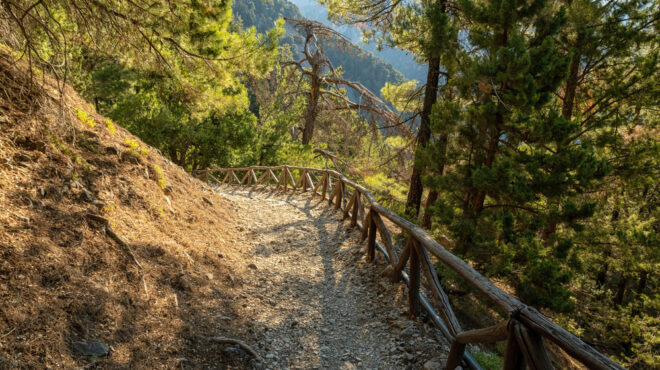 ηράκλειο-πτώμα-άνδρα-βρέθηκε-σε-περιπ-563619241