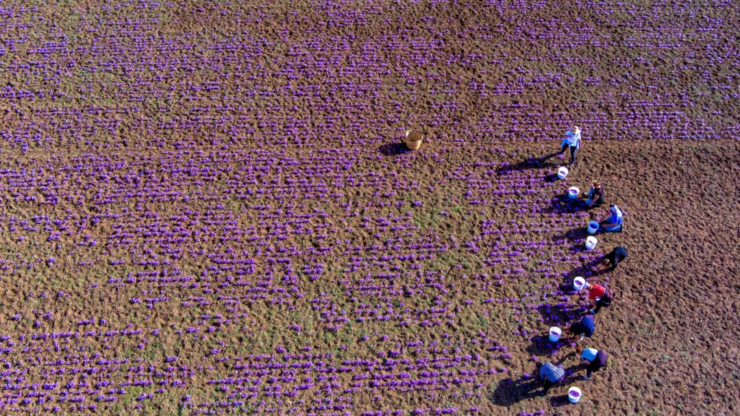 eurostat-οι-ελληνες-δούλεψαν-περισσότερο-στη-563613061