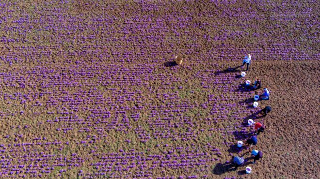 eurostat-οι-ελληνες-δούλεψαν-περισσότερο-στη-563613061