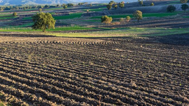 θεωρείο-παραίτηση-στον-οπεκεπε-563627914