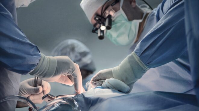 νέα-πανελλαδική-πρωτιά-μεταμόσχευση-563619946