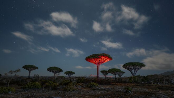 αντεξε-αιώνες-καιρικών-ακροτήτων-τώ-563619703