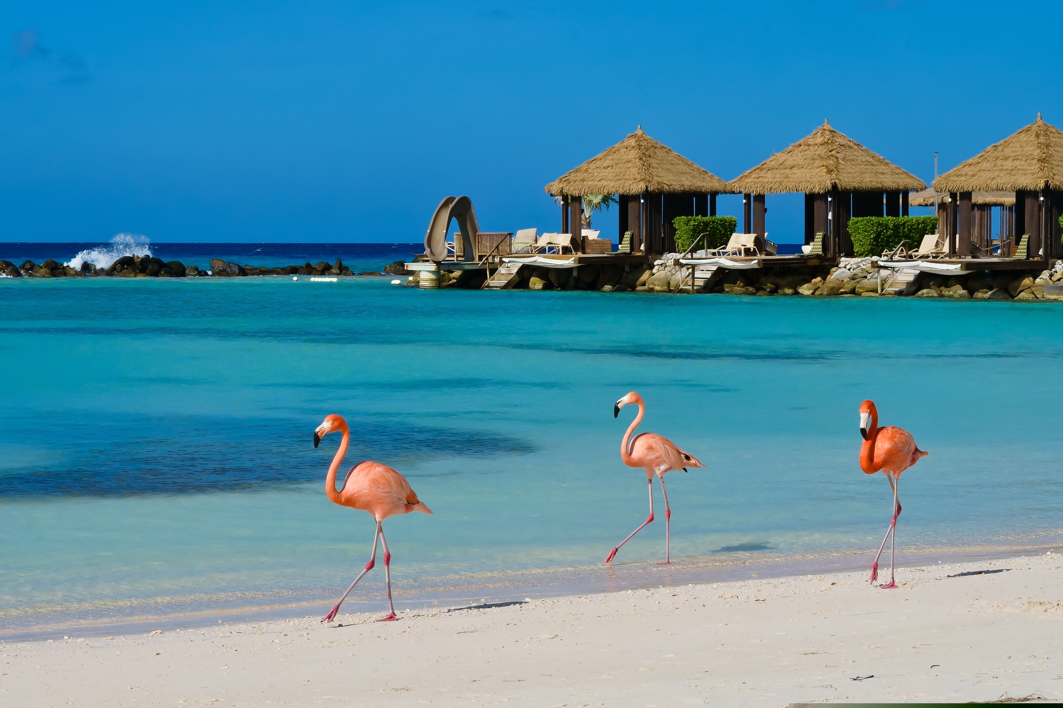 Κλιματική αλλαγή: Εναν επιπλέον μήνα ακραίας ζέστης έζησε η μισή ανθρωπότητα το 2024-1