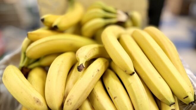 η-κλιματική-κρίση-απειλεί-το-πιο-δημοφ-563607793